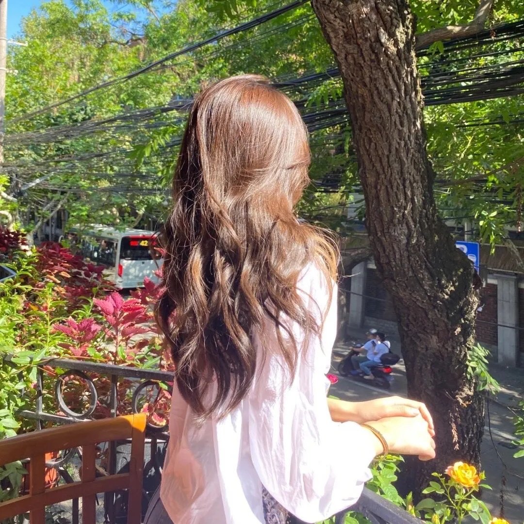 树篱女巫